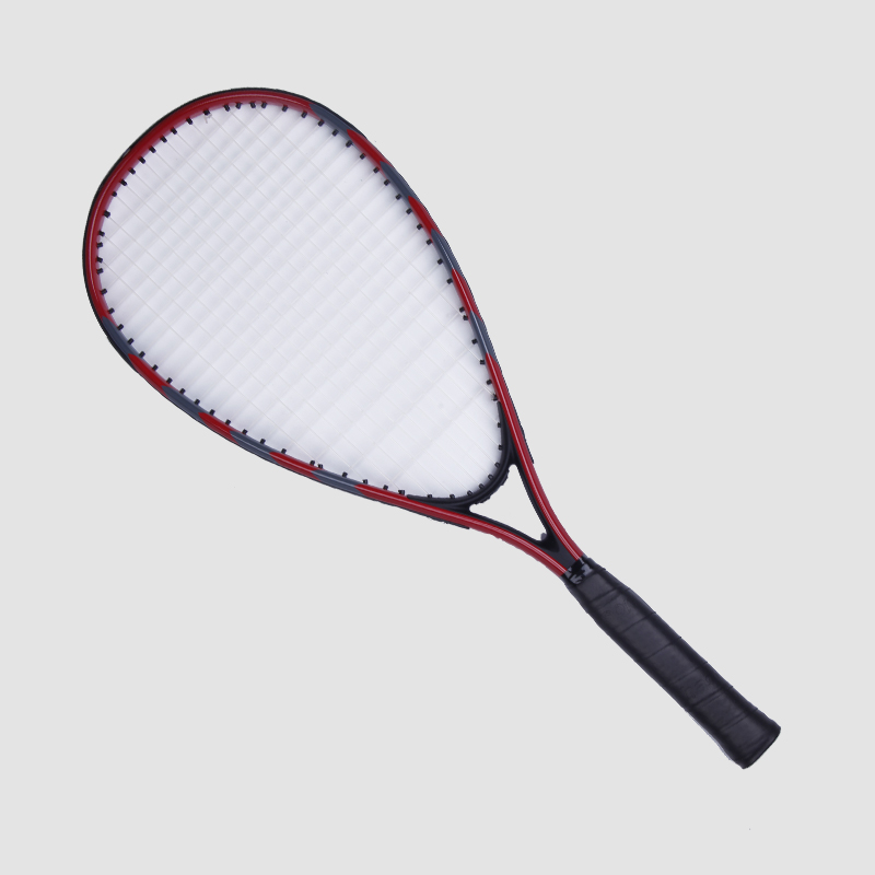 Raket Badminton Pantas S-100